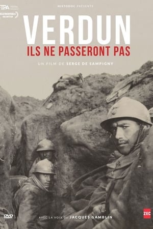 Verdun - They will not pass! film complet