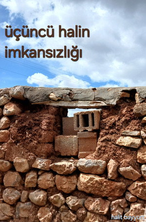 Üçüncü Halin İmkansızlığı