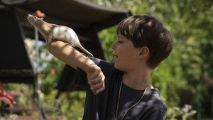 Club der bunten Ratten (2026)