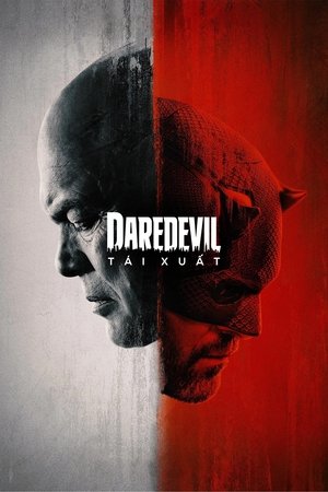 Image Daredevil: Tái Xuất