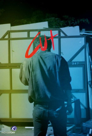 Cut 2
