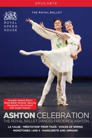 Poster Ashton Celebration (2013)