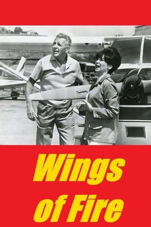 Poster Wings of Fire 1967