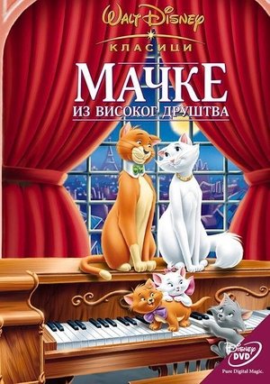 Image Мачке из високог друштва