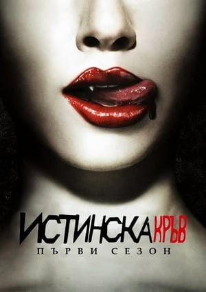 Poster Истинска кръв Сезон 6 Най-сетне 2013