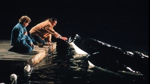 Free Willy 2 – Freiheit in Gefahr (1995)