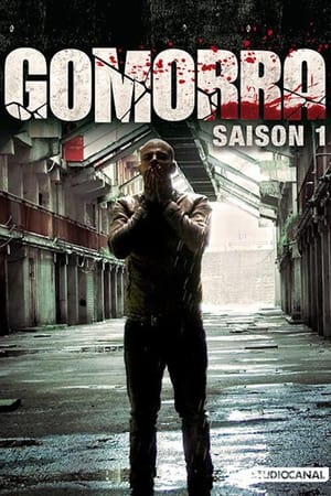 Gomorra: Saison 1