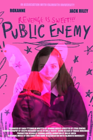 Poster Public Enemy ()