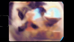 Test 1 still 3