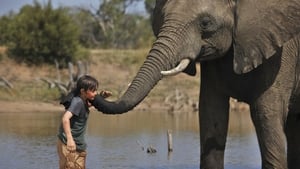 Against the Wild: Viaggio attraverso il Serengeti