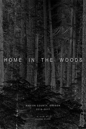 Poster Home in the Woods (2020)