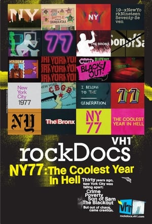 Image NY77: The Coolest Year in Hell