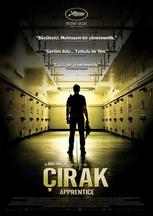 Poster Çırak 2016