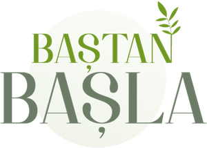 Baştan Başla