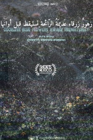Nonton film Odorless Blue Flowers Awake Prematurely (2022) terbaru sub indo Nonton film Odorless Blue Flowers Awake Prematurely (2022) terbaru sub indo