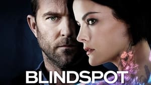 poster Blindspot