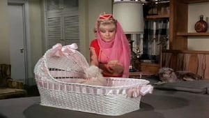 I Dream of Jeannie: 5×18