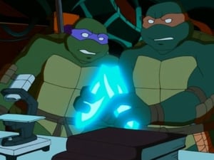 Teenage Mutant Ninja Turtles: 1×13