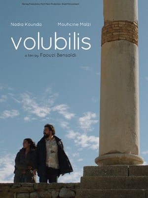 Poster Volubilis (2017)