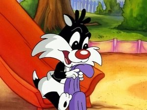 Baby Looney Tunes: 1×3