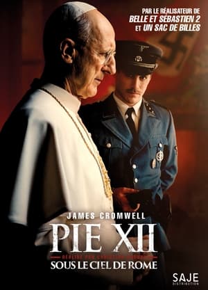 Poster Pie XII, sous le ciel de Rome 2010
