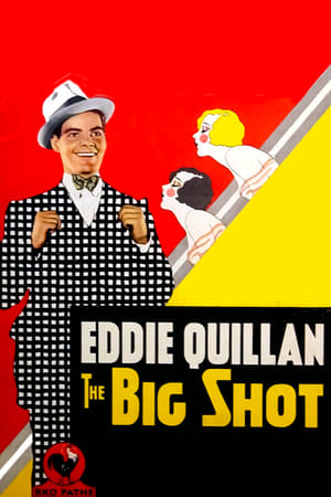 Poster The Big Shot 1931