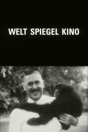 Welt Spiegel Kino poster