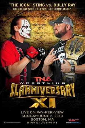 Poster TNA Slammiversary XI 2013