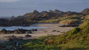 Tasmania’s Wild Treasures