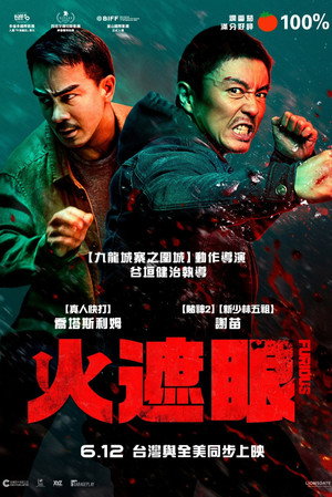 poster The Furious