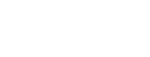 The George Carlin Show