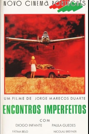 Poster Encontros Imperfeitos 1993