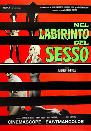 Poster The Labyrinth of Sex 1969