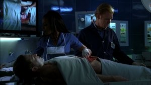 CSI: Miami: 1×13
