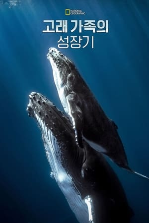 Poster 고래 가족의 성장기 2017
