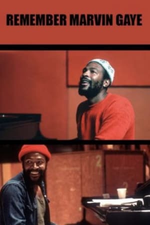 Poster Remember Marvin Gaye (2002)