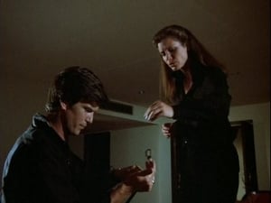 Remington Steele: 2×2