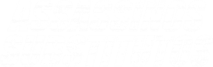 Asesinos de reemplazo — Logos 2