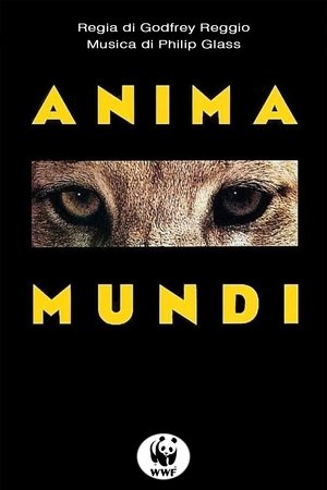 Anima Mundi 1991