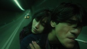 Fallen Angels ( 1995 )