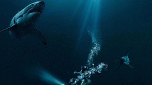 47 Meters Down 47 ดิ่งลึกเฉียดนรก พากย์ไทย