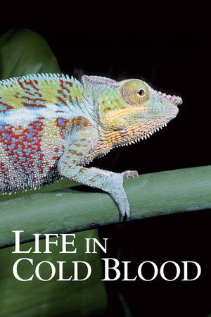 Life in Cold Blood 10