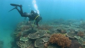 Journeys in Japan: 12×12