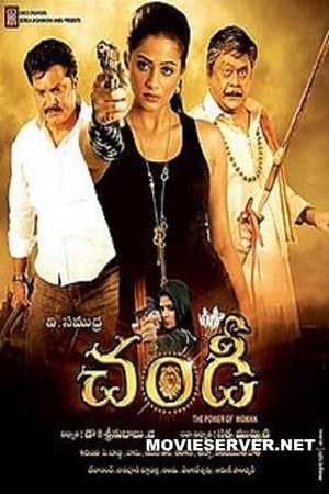 Poster Chandi: The Power of Woman (2013)