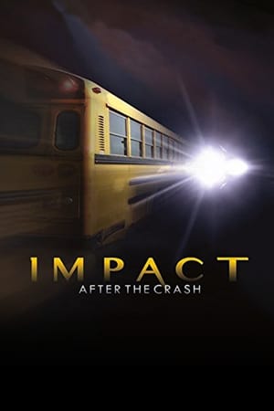 Poster Impact After the Crash (2013)