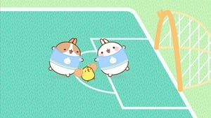 Molang: 4×36