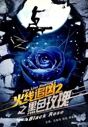 Poster 火线追凶2之黑色玫瑰 2013