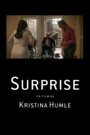 Poster Surprise (2016)