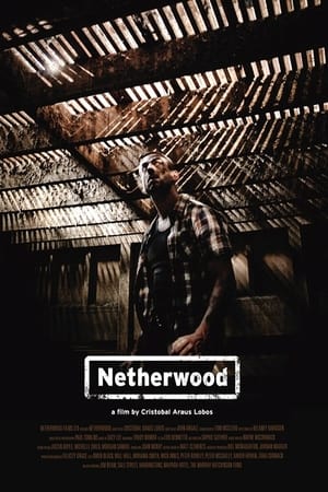 Poster Netherwood 2011