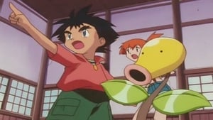 Pokémon: 3×14